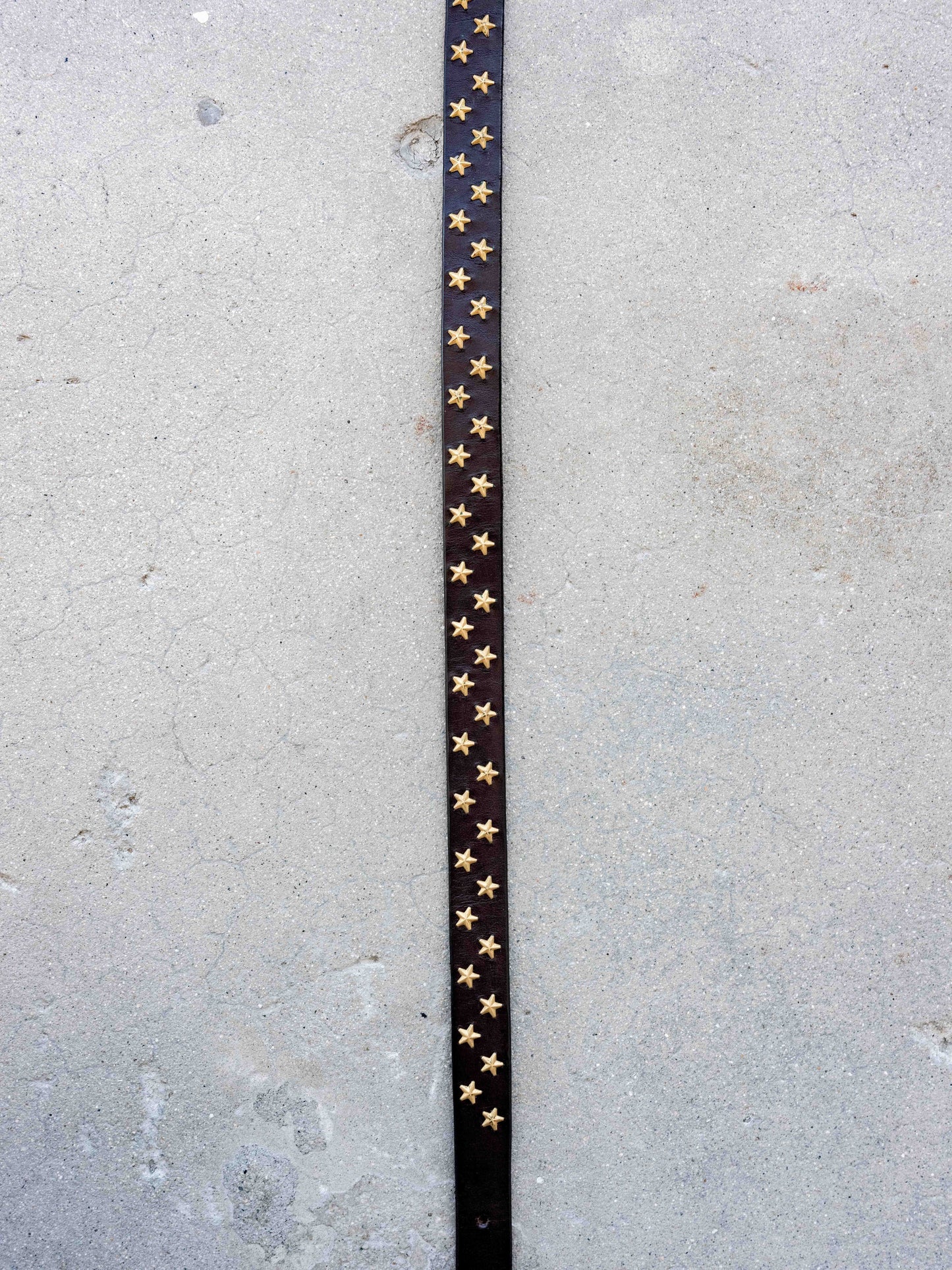 Hollywood Trading Company Gold Star Extended Tail Belt-W28/30