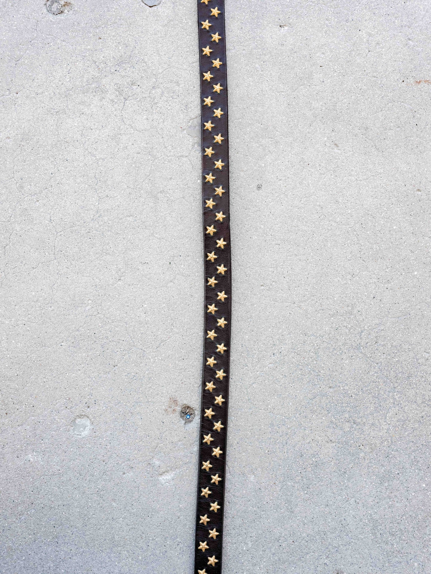 Hollywood Trading Company Gold Star Extended Tail Belt-W30/32